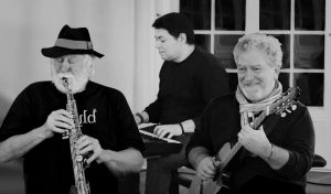 Scopri di più sull'articolo Mauerblues Trio @ Jazzlights